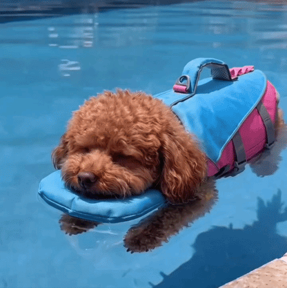 Pet Life Jacket